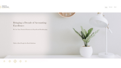 Savvy Ledgers website screenshot